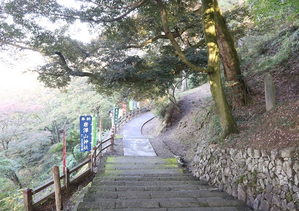 スライド写真